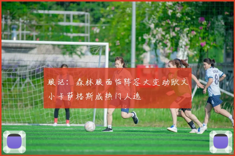 狼记：森林狼面临阵容大变动欧文小卡萨格斯成热门人选